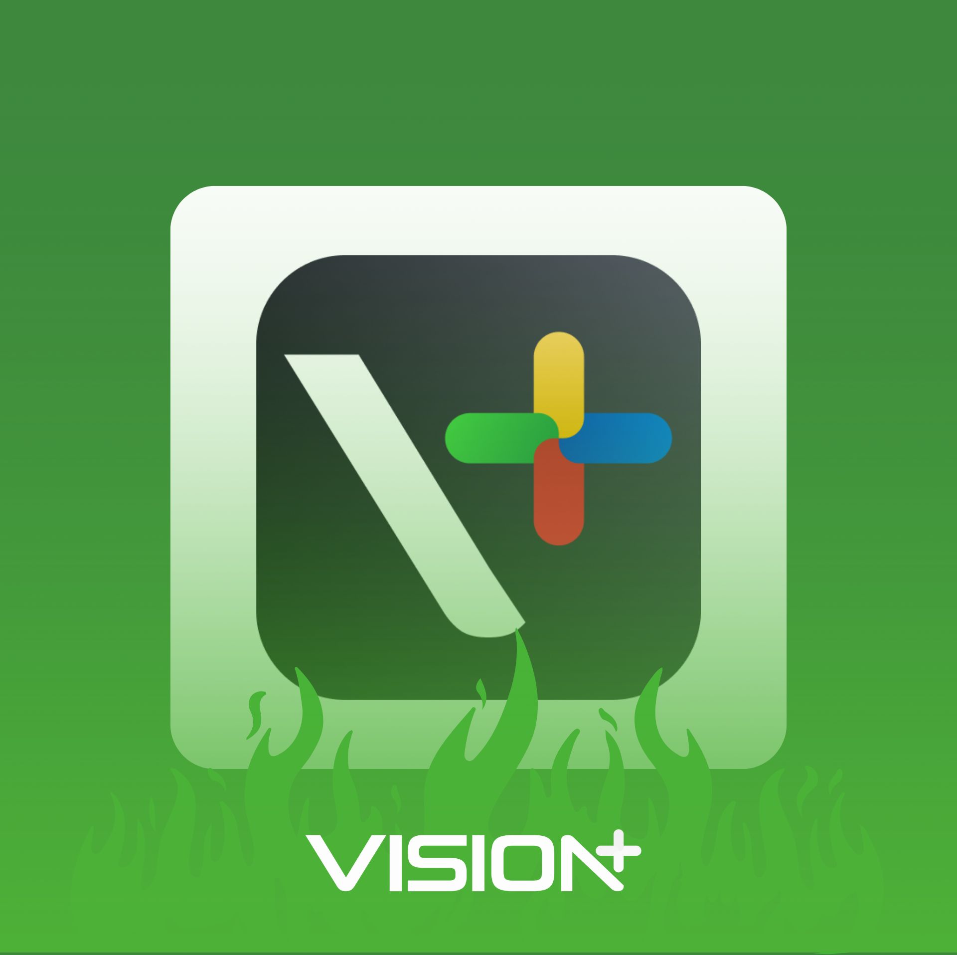 Vision+